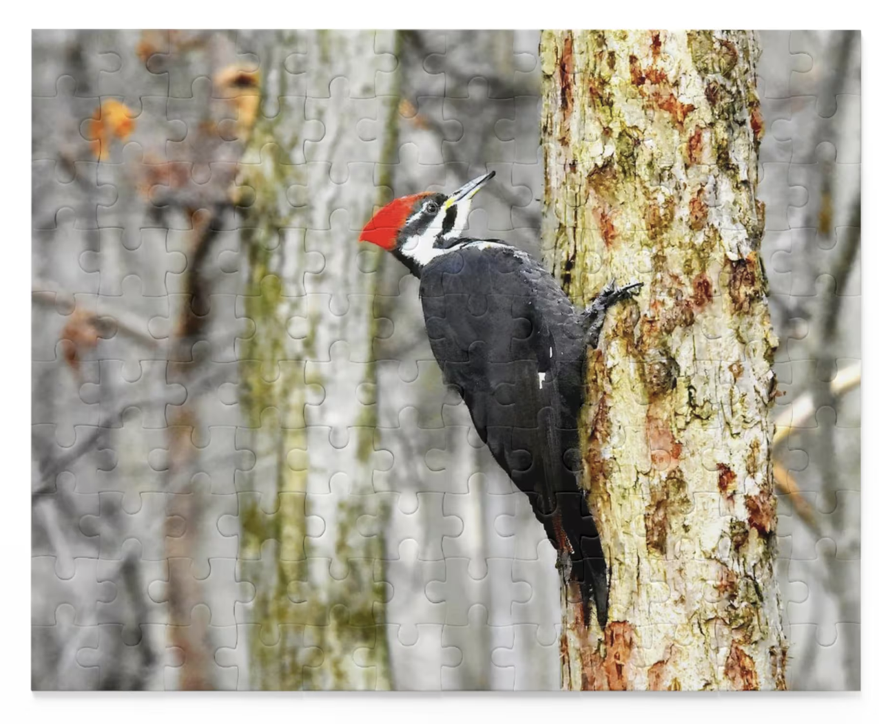 Woodpecker on Tree Puzzle – Bird on Tree Puzzle